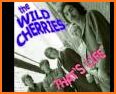 Wild Cherries related image