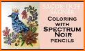 Color Noir - Coloring Book related image