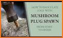 Hex Plugin - Mushroom related image