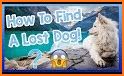 NOSEiD - An Easier Way to Help Find Your Lost Dog related image