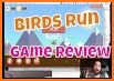 Birds Run: Epic Adventure Dash related image
