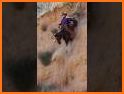 Easy Horse Rider related image