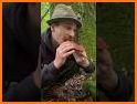 Mushroom Finder:  identification, wallpaper related image