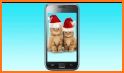 Funny Christmas Wallpapers related image