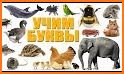 Учим животные для малышей, птицы рыбы и насекомые related image