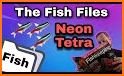 Tetra Filer related image