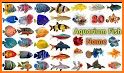 Word Spelling Fish - Aquarium related image