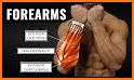 Forearms Workout Exercises related image
