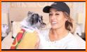 Petco: Better Together related image