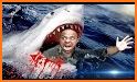 Raft Survival Angry Shark - Attack Games related image