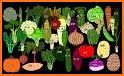 Vegetable Fun related image