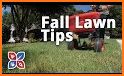 Cool 35 Lawn Care Tips related image