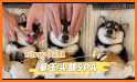 ASMR Pet Salon related image