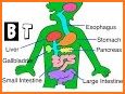 Human Body Parts - Preschool Kids Learning related image