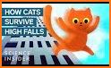 Free Falling Cat related image