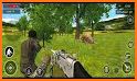 Animal Hunting: Safari 4x4 armed action shooter related image