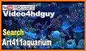 Peaceful Aquarium HD related image