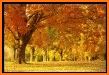 Fall season live wallpaper related image