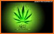 Colorful Weed Themes HD Wallpapers Launcher 3D related image