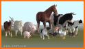 Learn animals -  animal sounds and 3D models related image