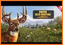 Deer Hunting Sniper Shooting Games related image