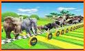 Animals Race! related image