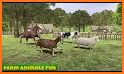 Farm Animals Family Survival related image