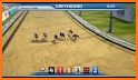 Dog Racing & Betting Online related image