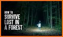 Lost in Forest: Survival Pro related image