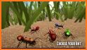 Ants war : Smasher game related image