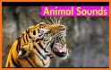 Animal Sounds For Kids And Babies No Ads related image