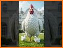 Rise of Chicks related image
