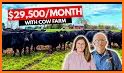 Rich Cow related image