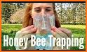 Beekeeping and Hive Tracking Plus related image