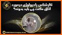 Magnet Room related image