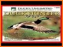 Duck Hunter Game - Pro related image