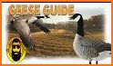 Goose hunting calls. Waterfowl hunting decoy related image