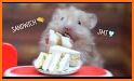 Hamster Picnic related image