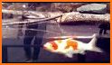 Fancy 3D koi fish theme related image