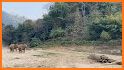 Elephant Rush related image
