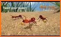 Fire Ant Simulator related image