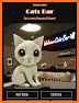 Escape game Cats Bar related image