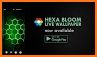 Hexa Bloom Live Wallpaper related image