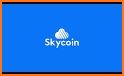 Skycoin Wallet related image