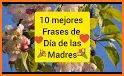 Frases Día de la Madre related image