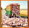 Big Farm related image