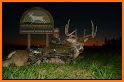 Realtree 365 related image