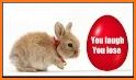 Easter Bunny Smiles Watch related image