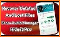 Audio Manager related image