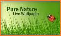 Nature Live Weather 3D LWP related image